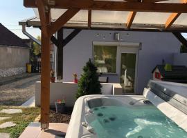 Panni Vend&eacute;gh&aacute;z