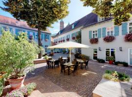 Hotel Domhof, hotel em Speyer