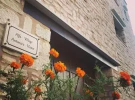 Antonia’s Home Alfa Village