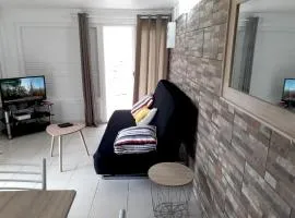 Appartement de 2 chambres avec jardin clos et wifi a Saint Joseph a 7 km de la plage