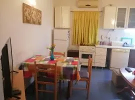 Apartment with one bedroom