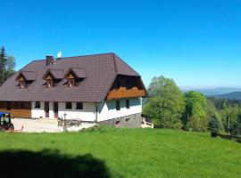 König-in, porodični hotel u gradu Hojsova Straž