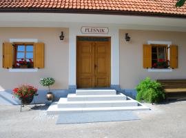 Farm Stay Rotovnik - Plesnik、スロヴェニ・グラデツのホテル