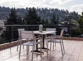 Forest View Apartments