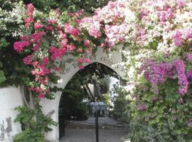 The Bunch Of Grapes Inn, hostería en Pissouri