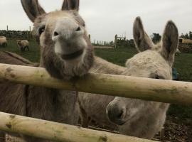 The Ryeland Barn: Dilhorne şehrinde bir otel