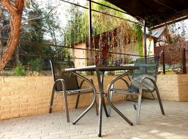 Slovac House with a garden and fireplace, hotel in Chişinău