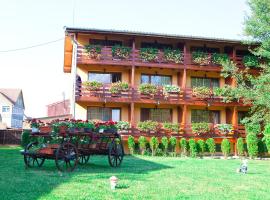 Casa Bazna, guest house in Bazna