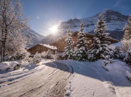 Chalet D, отель в Гриндельвальде