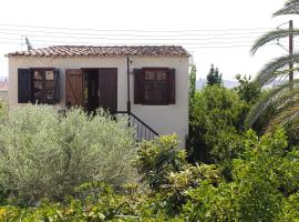 Avli-the courtyard, homestay in Nicosia