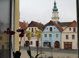 Pension TV