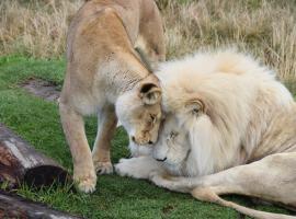 Tenikwa Wildlife Centre & Spa