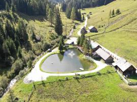 Schmiedalm, hotell nära Gipfellift, Haus im Ennstal