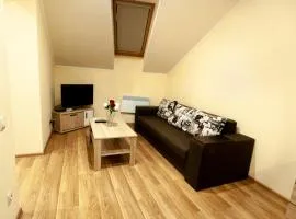 Wonderful flat on city center (Mukachivska 4/16)