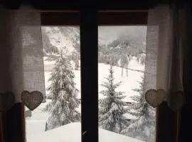 Il Pino B&B