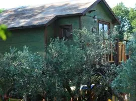 Palazzo Conforti Tree House Resort