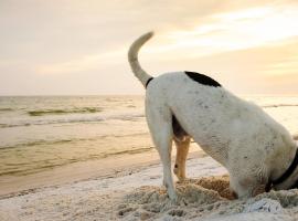 Pakhuis 5, hotel en Katwijk aan Zee