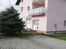 Slavuj