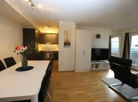 OSLO CITY CENTER 3 BEDROOMS APARTMENT, MANDALLS GATE 12