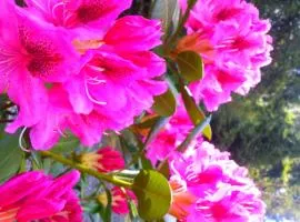 Holiday Inn Express and Suites Surrey by IHG