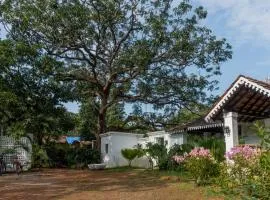 The Island Sanctuary Rock Pool Villa