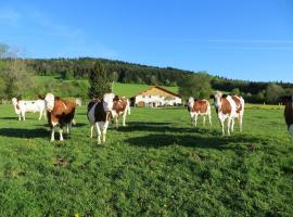 La ferme du bonheur，Pierrefontaine-les-Varans的有停車位的飯店