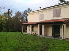Al picchio verde