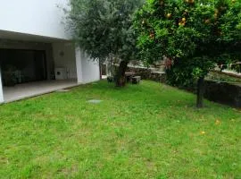 casa da adega