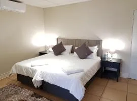 CHEETAH MANOR #4