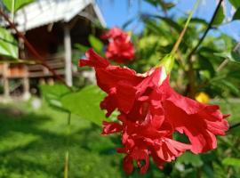 Yawning Fields, cabin in Pai