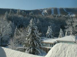 Townhouse W Private Deck & Mt View &ndash; zakwaterowanie bez wyżywienia 