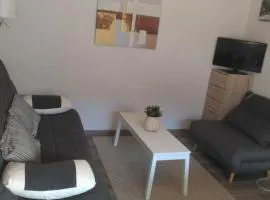 Studio centre Carroz CA210