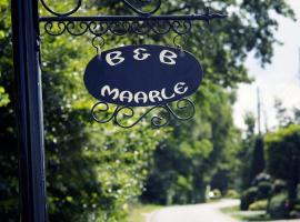 B&B Maarle、Poppelのロマンチックホテル