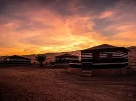 Arabian Oryx Camp