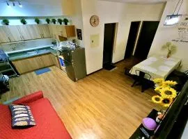 DMCI Bristle Ridge Condo 318 Cozy 2 Bedroom Unit