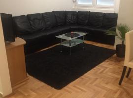 Apartman PEŠAČKA ZONA