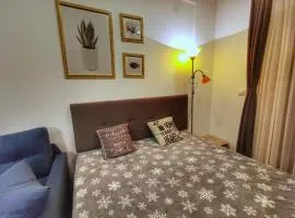 Apartman Pahulja - Milmari