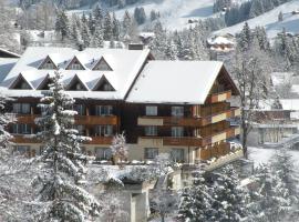 Hotel Steinmattli: Adelboden şehrinde bir otel
