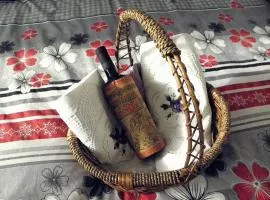 Apartmani Nina