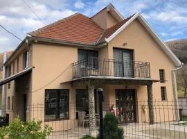 Casa Larisa