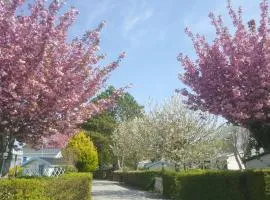 Camping Caravaning Les Cerisiers Berck sur mer