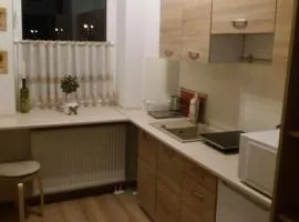 Mieszkanie na Grunwaldzkiej (44)