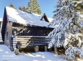 Tree Top Rogla Apartment、ズレチェにあるプラーニャの周辺ホテル