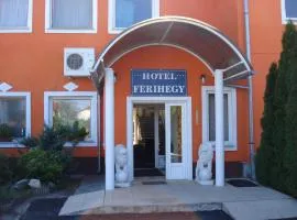 Hostel Ferihegy