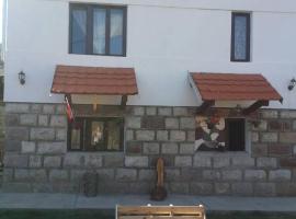 VILA BOJANA, holiday rental in Inovo