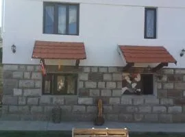 VILA BOJANA