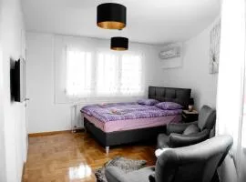 Flexible SelfCheckIns 15 & 19 - Zagreb - Garage - Loggia - New - Cozy