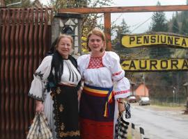 Pensiunea Aurora Albac, svečių namai mieste Albacas