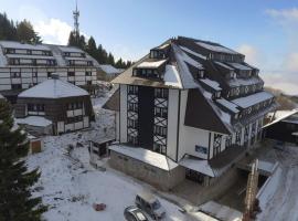 Župa Apartmani, homestay in Kopaonik