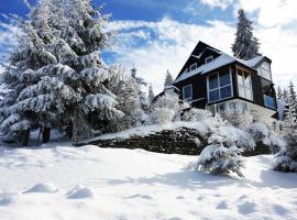 Apartments Panda, hotel in Vlasic